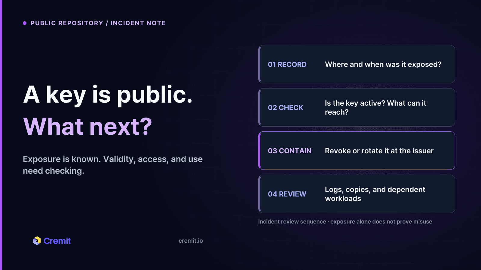Public API key in a repository: what to check first